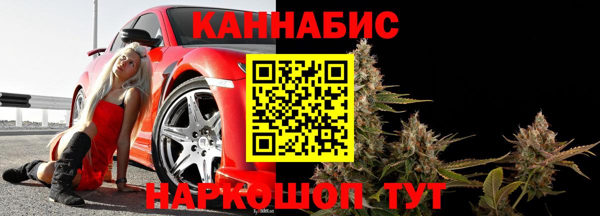 Бошки марихуана сатива  Конопля VHQ  Каннабис сатива  Вход с VPN  Конопля White Widow  Красноярск 